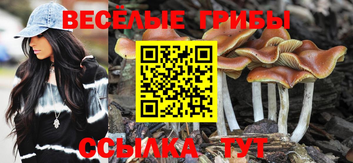 Псилоцибиновые грибы MAGIC MUSHROOMS  Галлюциногенные грибы прущие грибы  Троицк  Вход с VPN 